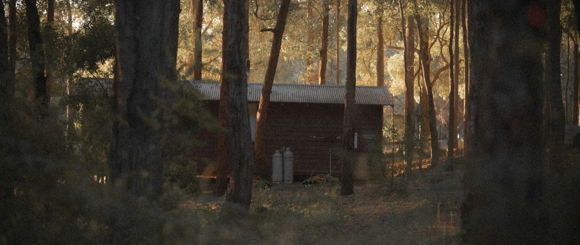 Haus im Wald in der Dämmerung