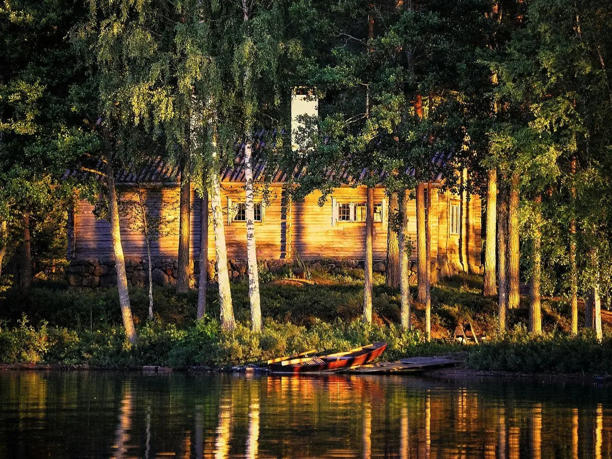 Wooden cabin among birches at sunset, light in the windows