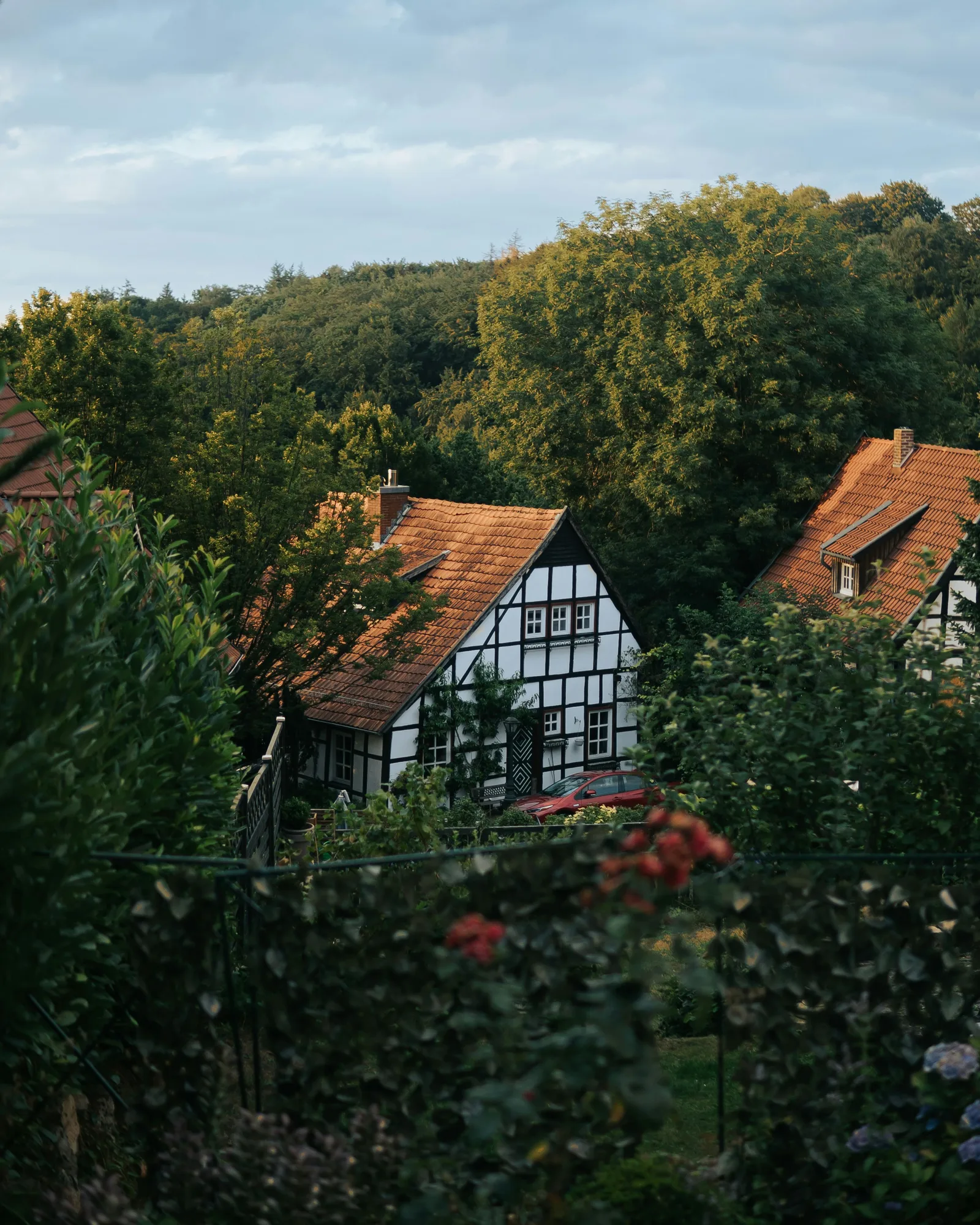 Half-timbered house among trees